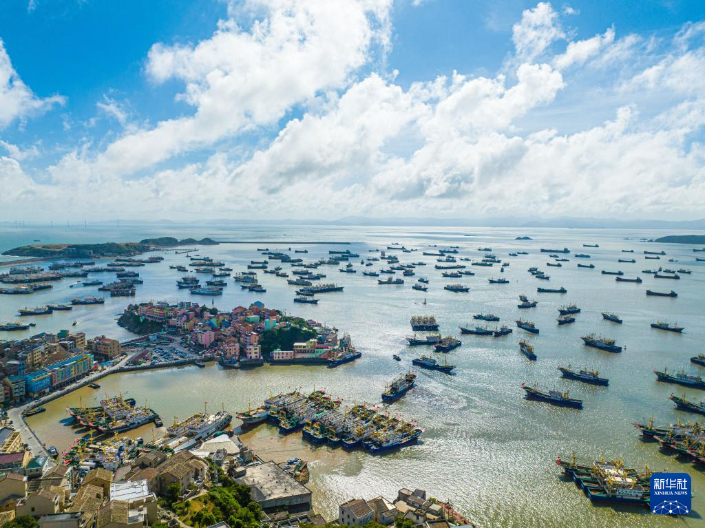 浙江溫嶺：夏日漁港美如畫(huà)