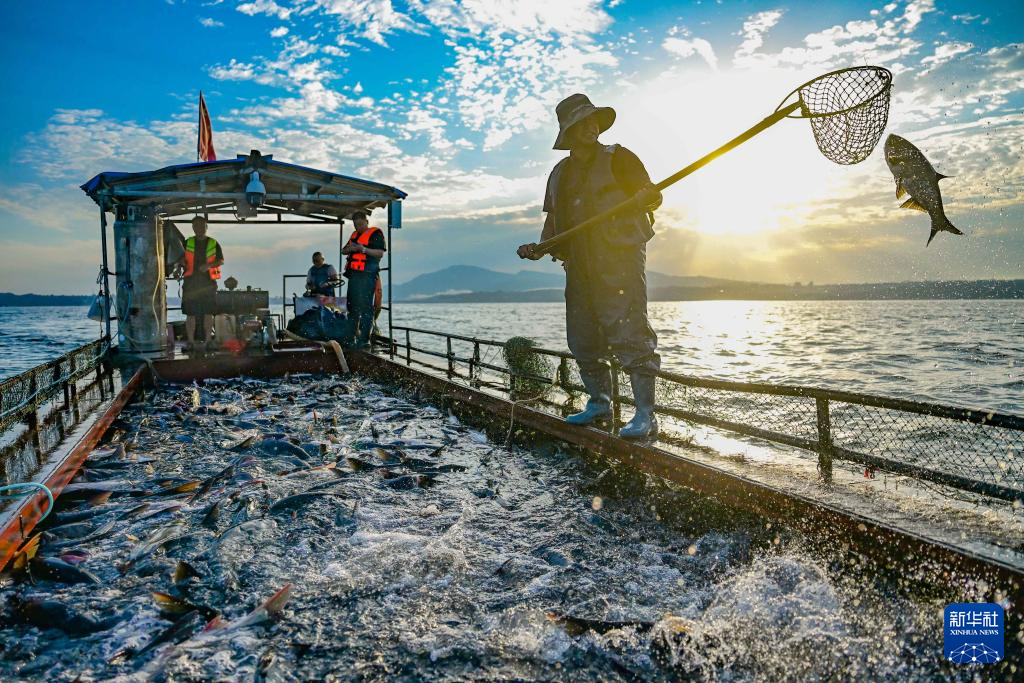 河南洛陽(yáng)：魚躍人歡夏捕忙